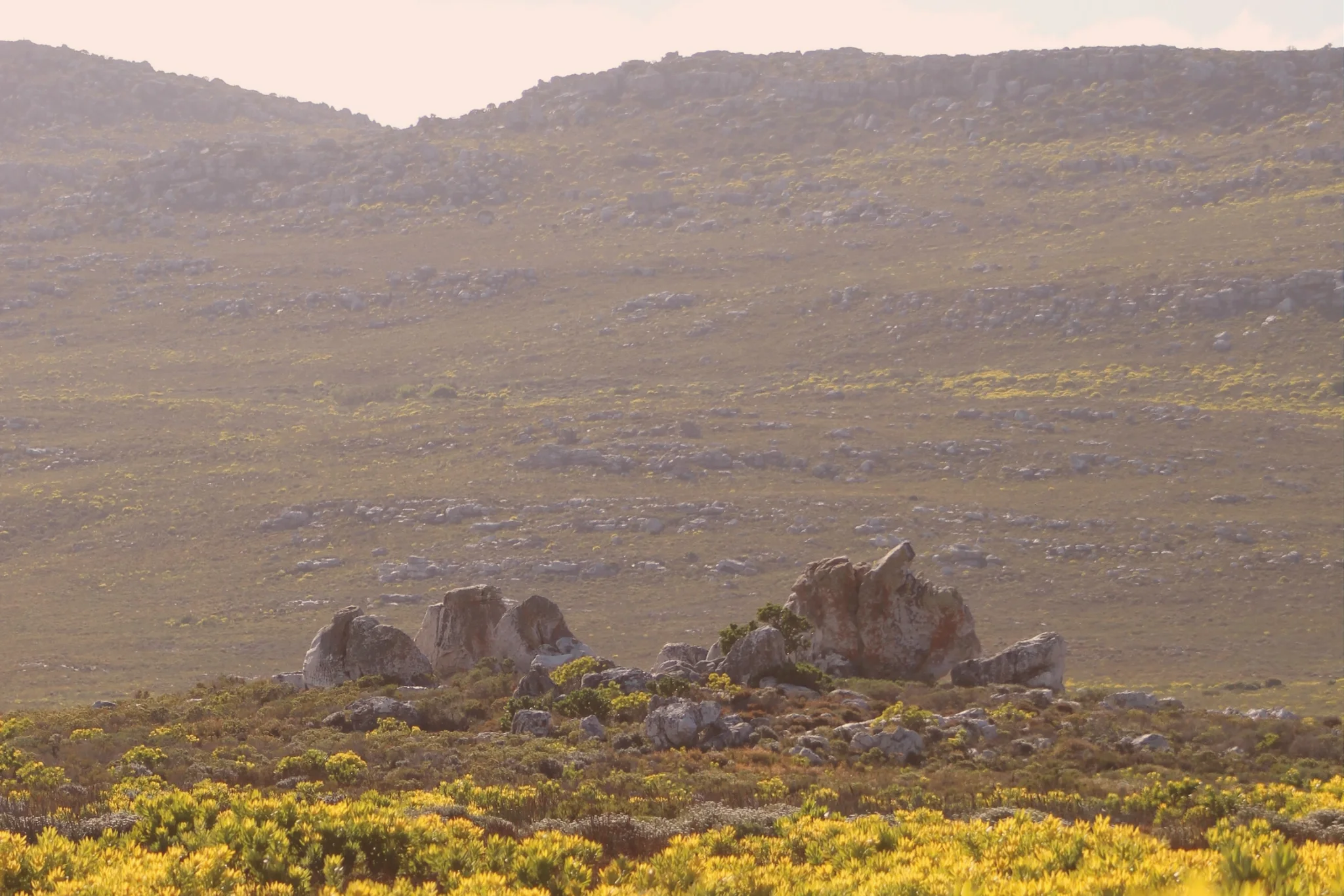 Weathered rock formations rise among sunlit fynbos beneath a broad, rocky hillside at Cape Point in Table Mountain National Park.