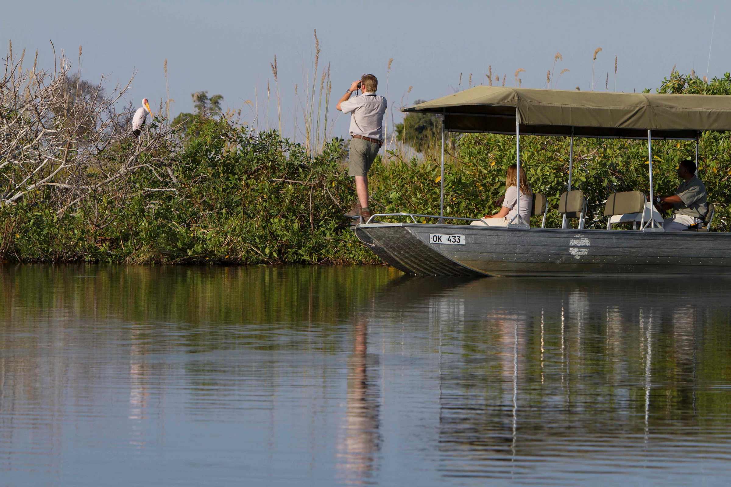 Birding at Camp Xakanaxa in Moremi Game Reserve, Botswana