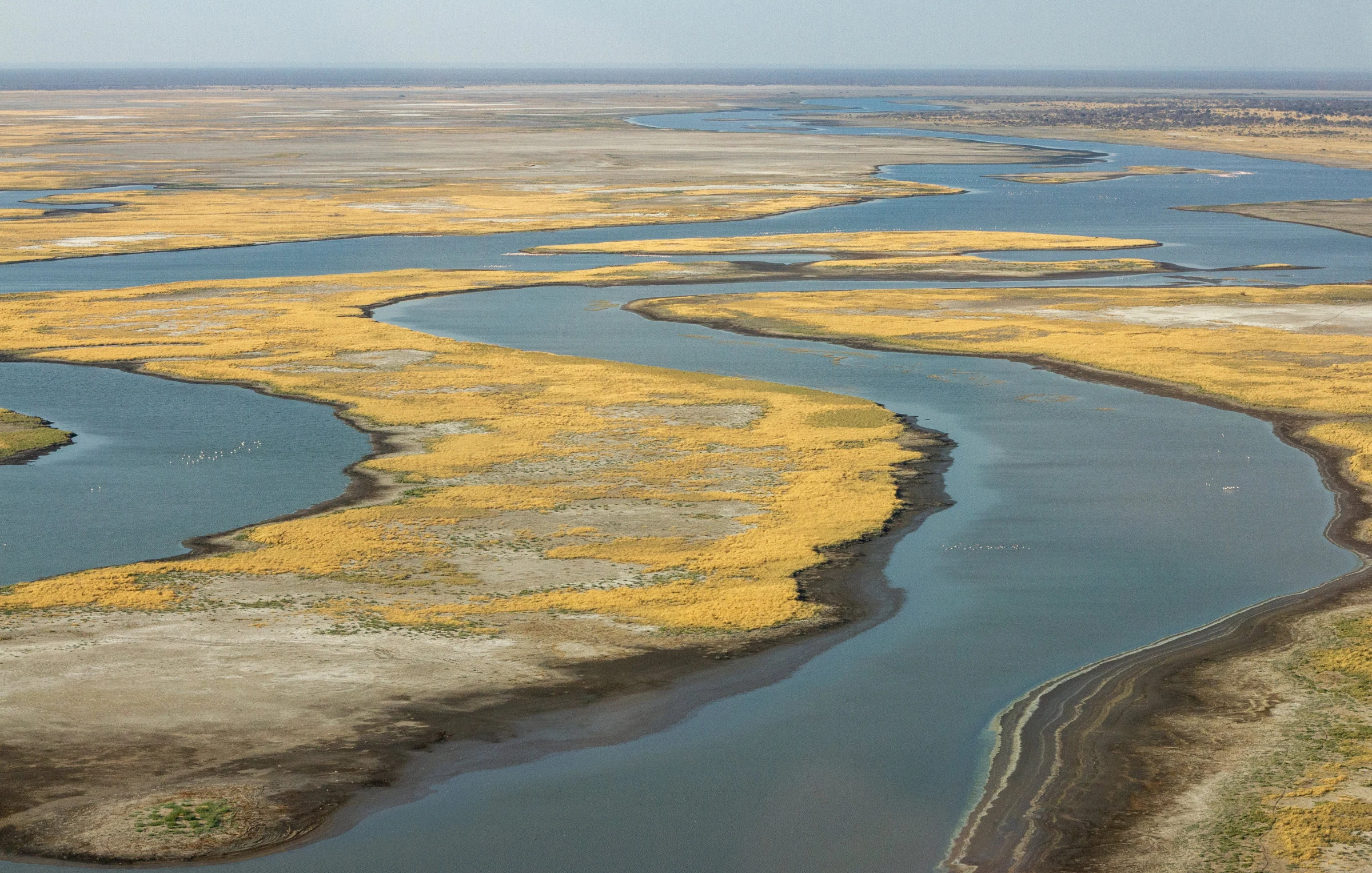 Scenic flights at Leroo La Tau in Boteti River - Makgadikgadi Pans National Park, Botswana