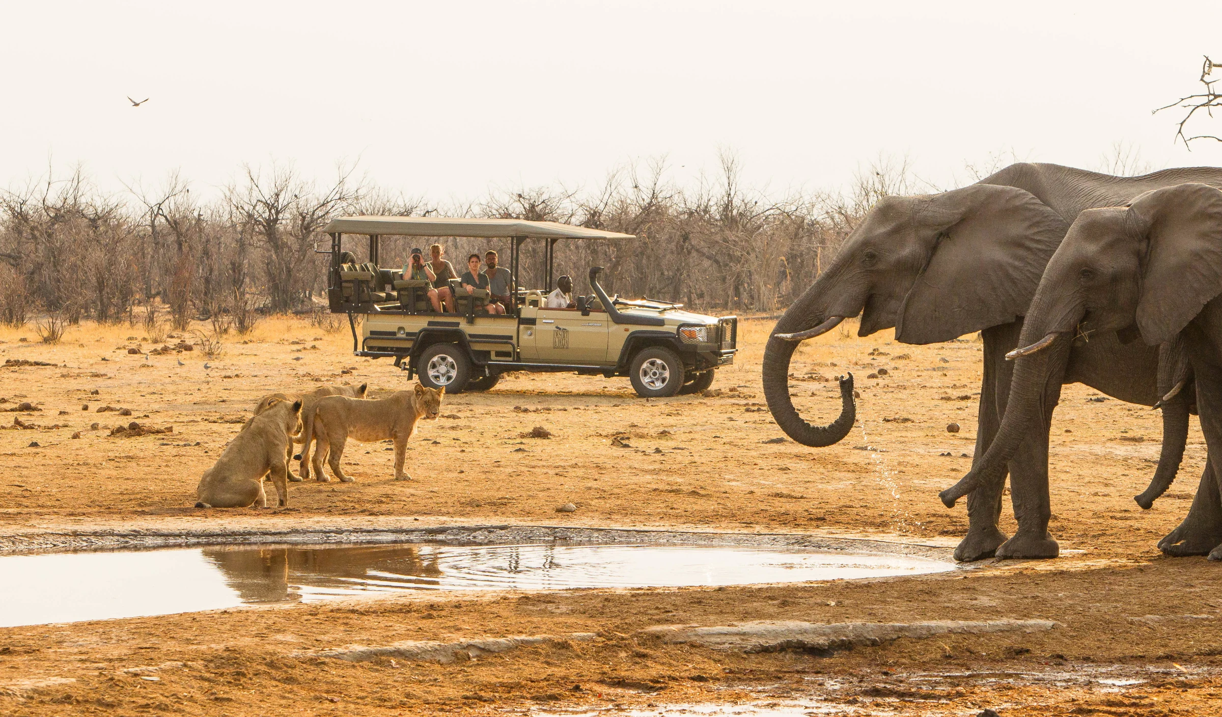 Guided game drives at Savute Safari Lodge in Savuti - Chobe National Park, Botswana