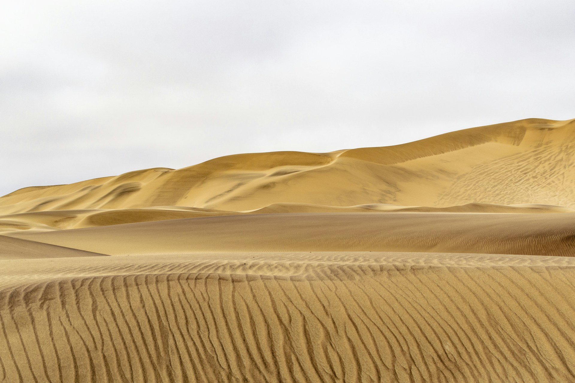 Wind-shaped dunes in Namibia's Namib Desert